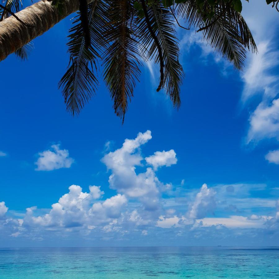Thundi Sea View